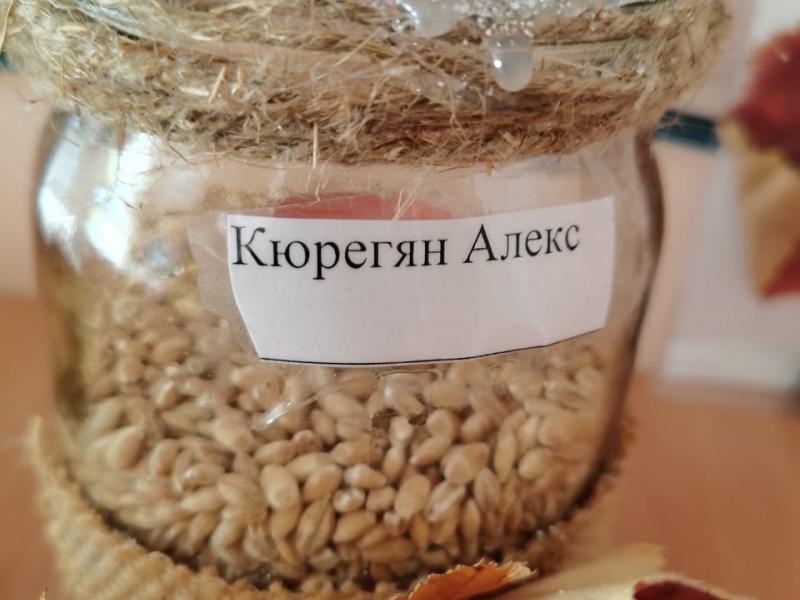 Осенний марафон